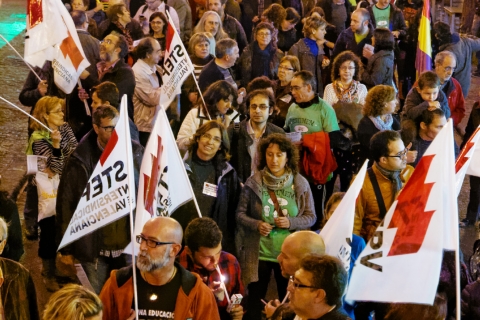 Manifestació convocada per STEPV el 15 de febrer de 2014 en defensa de les condicions laborals del professorat
