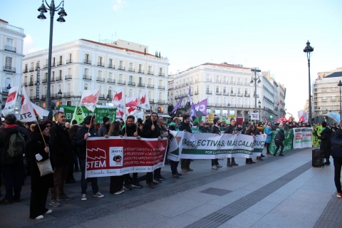Un moment de la vaga del 29 de febrer a Madrid, convocada per STEM, CGT i CNT