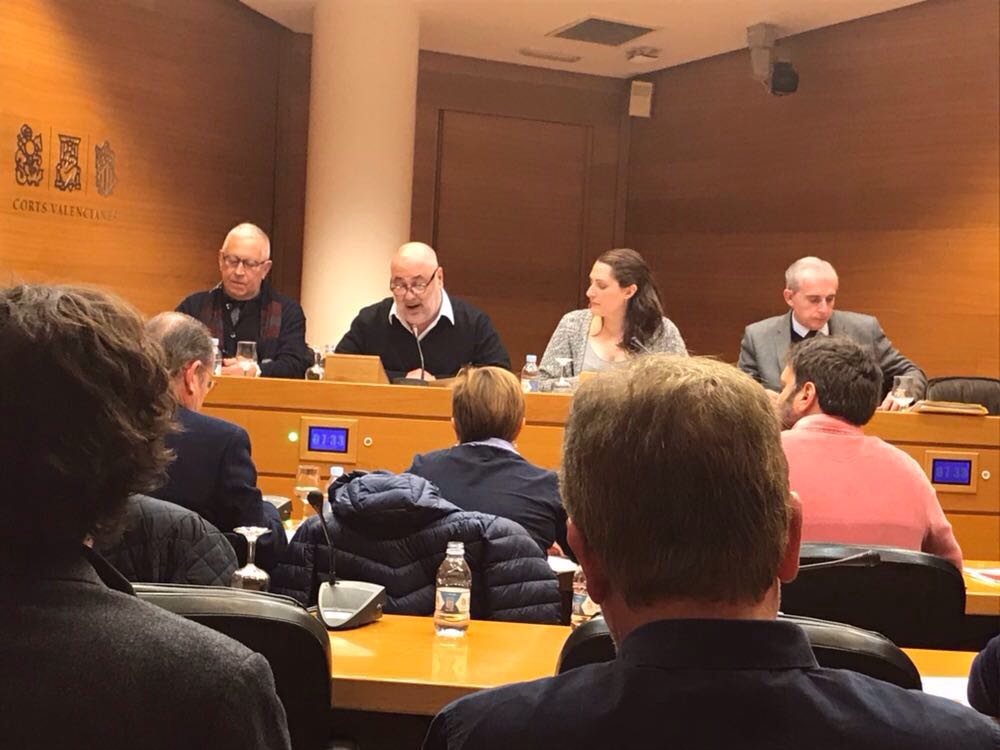 Vicent Maurí, responsable de Política Lingüística de STEPV, durant la intervenció aquest matí en les Corts Valencianes