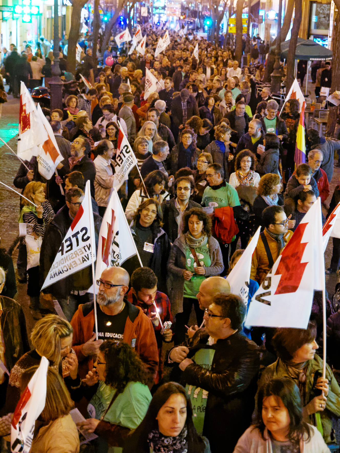 Manifestació convocada per STEPV el 15 de febrer de 2014 en defensa de les condicions laborals del professorat